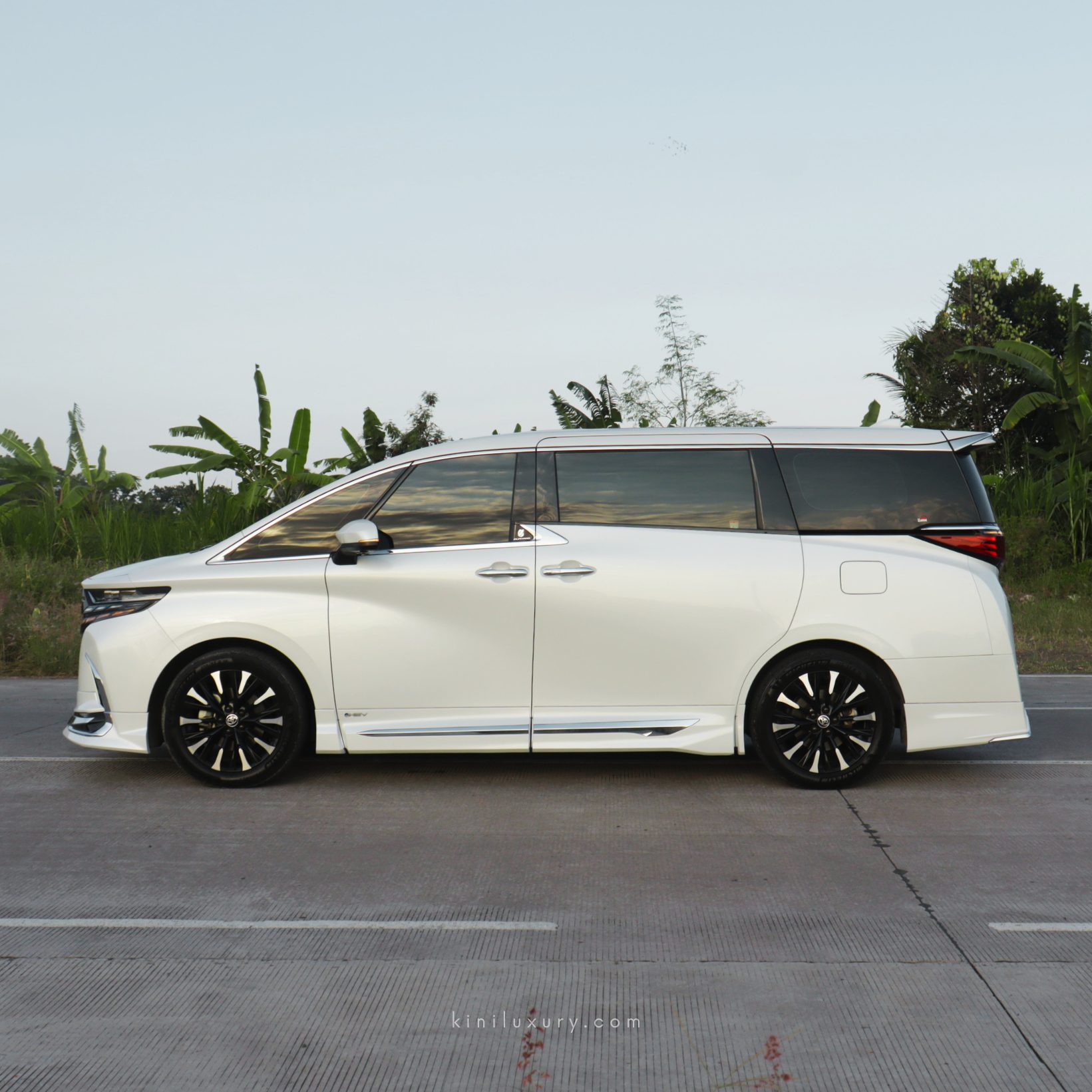 Toyota Alphard Hybrid — 3
